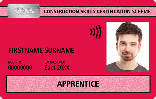 Blue skilled worker card